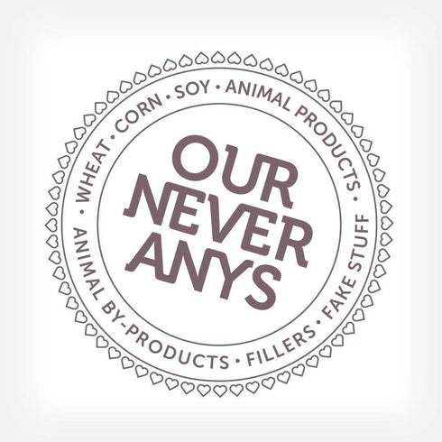 V-Dog Vegan Wiggle Biscuit Organic Dog Treats, Peanut Butter, 10 Ounce, Superfoods...