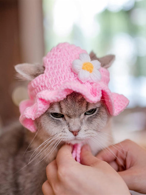 QWINEE 2Pcs Cartoon Design Knit Cute Dog Hat Soft Cat Hat Rabbit Hat Halloween Christmas Party Costume Head Wear Accessories for Puppy Cat Kitten ...