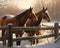 Generic Fence Horses 11ct Counted Cross Stitch Kits Color Printed Stamped Cross-Stitch Supplies Needlework Printed Embroidery Kits DIY Kits Needle...