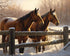 Generic Fence Horses 11ct Counted Cross Stitch Kits Color Printed Stamped Cross-Stitch Supplies Needlework Printed Embroidery Kits DIY Kits Needle...