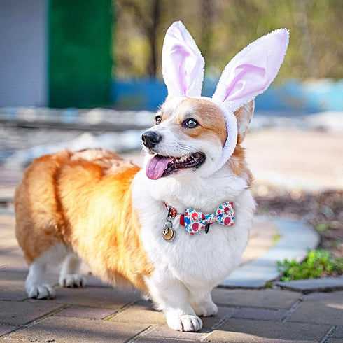 PET SHOW 10pcs Easter Day Small Dog Bow Ties for Medium Dogs Puppies Rabbit Cat Detachable Bowties with Elastic Bands Attach to Collar Pet Groomin...