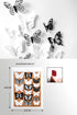 Butterfly Wall Stickers Decal, 36 PCS 3D Black and White Butterfly Stickers with Adhesive,Qyeaber Crystal Butterflies, Removable Art Mural for Bab...