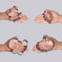 8PCS Large Fall Thanksgiving Cookie Cutter Set - Turkey, Pumpkin, Maple/Oak/Teardrop Leaf, Squirrel and Acorn...