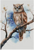 Owl in snow cotton counted cross stitch kits,150x200stitch, 26x36cm, Egyptian cotton thread, 14 count counted owl cross stitch kit...
