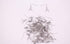 50PCS Stainless Steel Pendant Clasp Earring Hooks Ear Wire Buckle Fish Hooks for DIY Jewelry Making...