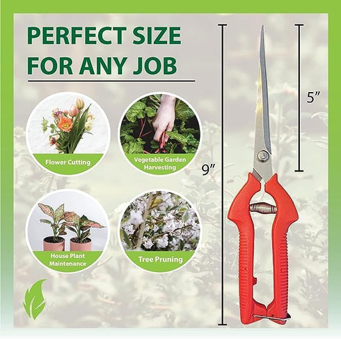 Garden Guru Extra Long Stainless Steel Pruner Pruning Shears Clippers Snips – Sharp Bonsai Cutter Plant Trimming Scissors – Straight Blade Garden ...