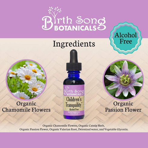 Children's Tranquility Tincture, Herbal Supplement with Valerian Root and Chamomile, 1oz Bottle Children's Herbal Immune Support, 1oz...