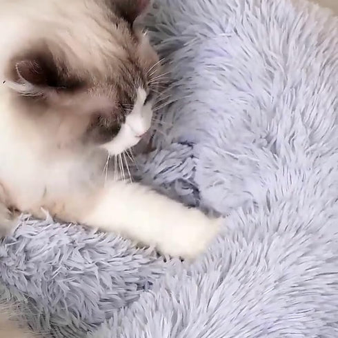 Dog Bed Cat Bed Cat Cushion Dog Bed Small Dogs Bed Doughnut Bed Small Dog Bed Cat Blanket Dog Blanket Small Dogs Bed Round Dog Bed for 3Kg...