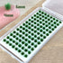 208 Pcs Static Grass Model Grass Tufts Railway Artificial Grass Miniature Grass Tuft Terrain Kit for DIY Model Railway Fairy Garden Diorama Scener...