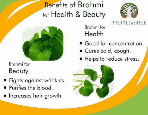 Centella asiatica Powder 100 Gm I Known as Gotu Kola, brahmi I Mandupakarni Powder I Non GMO I Gluten Free I Vegan...