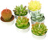 Cactus Tealight Candles, Handmade Delicate Succulent Cactus Candles? Perfect for Birthday Party ,Wedding, Spa, Home Decor)...