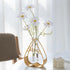Gold Plastic and Metal Propagation Station with Hydroponic Bottle...