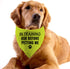 1 Piece in Training Ask Before Petting Dog Bandana Give Me Space Dog Bandana Rescue Dog Bandana (Ask Before Petting D) (Ask Before Petting D)...