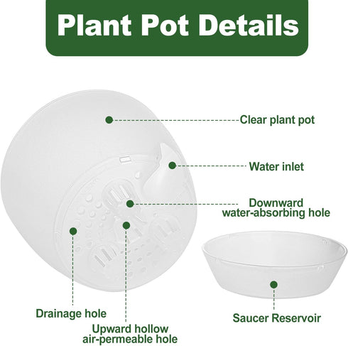 Plant Pots 6 Inch Set of 3, Self Watering Pots Flower Pots Indoor Outdoor, Plastic Planters with Drainage Hole Saucer Reservoir (Clear)...