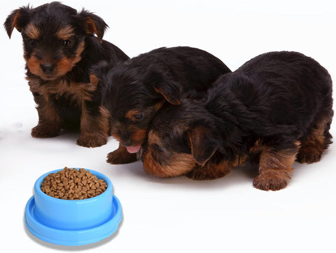 2pcs Dog Bowls Pet Cat Puppy Food Bowls Plastic Round No Spill Water Food Feeder Dish Colorful Feeding Eating Bowls...