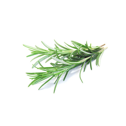 Biokoma Pure and Organic Rosemary Dried Leaves 100g (3.55oz) In Resealable Moisture Proof Pouch, USDA Certified Organic - Herbal Tea, No Additives...