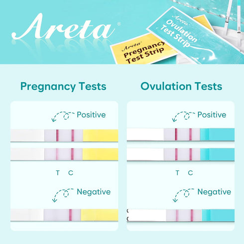 Areta Ovulation & Pregnancy Test Strips: 30 Ovulation Strips & 10 Pregnancy Tests Combo Kit | Accurate at-Home Fertility Tracker | Highly Sensitiv...