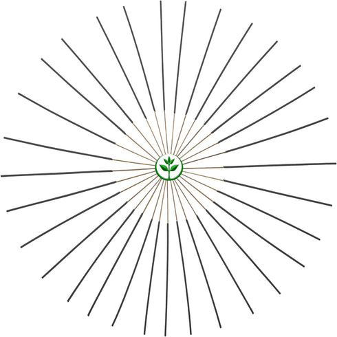 Balsam and Cedar Incense Sticks 11" - 1 Bundle 85 to 100 Sticks - Smooth and Clean Long Burn Time, 45 to 60 Minutes....