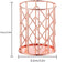 Rose Gold Pencil Cup Wire Metal Mesh Pen Holder Make Up Brush Holder, Pen Cup Pen Organizer Accessories for Desk Office Home School 1PC...
