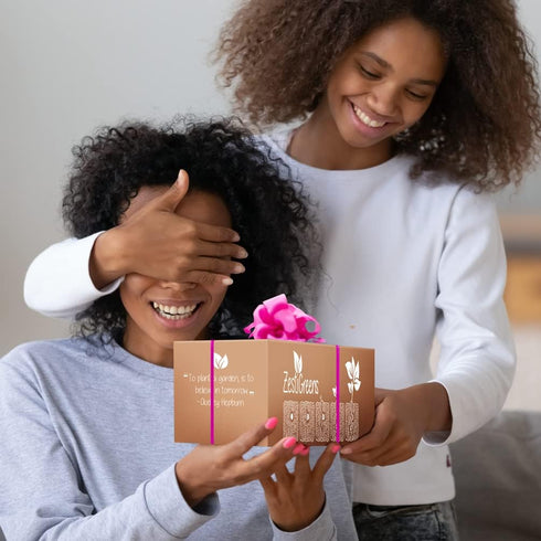 ZESTIGREENS Indoor Herb Pots for Herbs, Succulents, or Small Plants. 3 x Indoor Plant pots with Waterproof Liner Included....