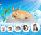 Rabbits Cooling Mat, Self Cooling Mat Pad for Hamster Guinea Pig Chinchilla Bunny Kitten Cat and Other Small Animals, Pet Cool Plate Ice Bed, Rapi...