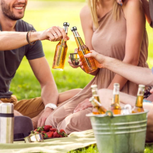 Beer Chiller Sticks for Bottles 2 Pack Stainless Steel Beverage Cooler Cooling Chillers Christmas Thanksgiving Fathers' Day Valentine's Day Men Bi...