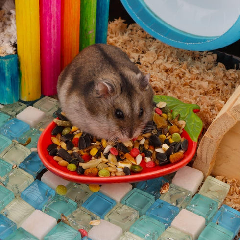 2 Pcs Hamster Ceramic Food Bowl, Cute Shape Anti-turning Dish for Hamster Gerbil Hedgehog Guinea Pig Rat Rodent...