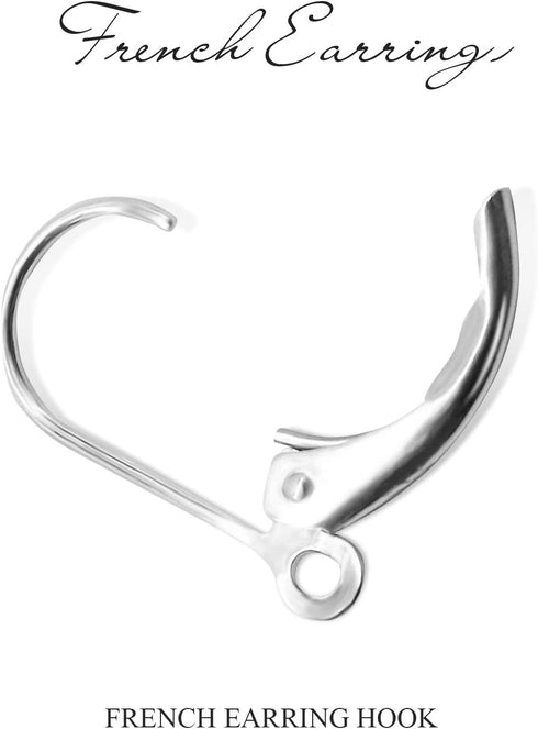 BronaGrand 100pcs Lever Back Earring French Hook Ear Wire Open Loop for Jewelry Making,Gold and Silver...