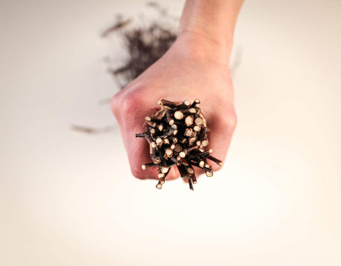 50 pcs Birch Branches for Vases, Decoration for Sale. Natural Birch Twigs for centerpieces. Floral Stick....
