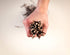 50 pcs Birch Branches for Vases, Decoration for Sale. Natural Birch Twigs for centerpieces. Floral Stick....