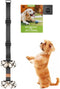 FOLKSMATE Dog Doorbells for Potty Training, Buckle Adjustable Puppy Dog Door Bells with Extra Loud Bells for Dogs Training, Housebreaking, Door Kn...