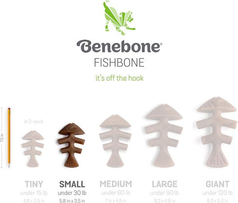 Benebone Set of 1 Fishbone/Wishbone Durable Dog Chew Toys, Real Fish, Real Bacon, Made in USA, Small...