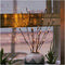 Mo&Ka 2 Pack Branch Lights - Led Branches Battery Powered Decorative Lights Tall Vase Filler Willow Twig Lighted Branch for Home Decoration Warm W...