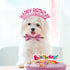 Hot Pink Happy Birthday Headband Birthday Crown for Women Tiara for Girls Glitter Hair Band Princess Crown Queen Birthday Girl Headband Hats Party...