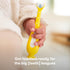 Frida Baby Training Toothbrush, Toddler Toothbrush for 18-24 Months, Easy-Grip Handle, Triple Angle Bristles, Soft Toothbrush Bristles, Stay-Put S...