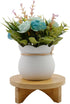 6 Inch Indoor Plant Stand Round Solid Wood Flower Stand Mid Century Modern Plant Stand for Displaying, Small Plants, Desktop, Office & Home Decor...