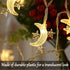 Fielegen 40 LED Moon String Lights Battery Operated 20ft Moon Mini Star Fairy Lights for Patio Garden,Wedding Garden Decoration,Party Festival Lig...