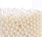 Makeup Beads for Brushes,AIYoo Art Faux Pearls 1500 pcs for Lipstick, Mascara, Eyeliner,Makeup Brush Holder Organizer, Highlight Plastic Round Pea...