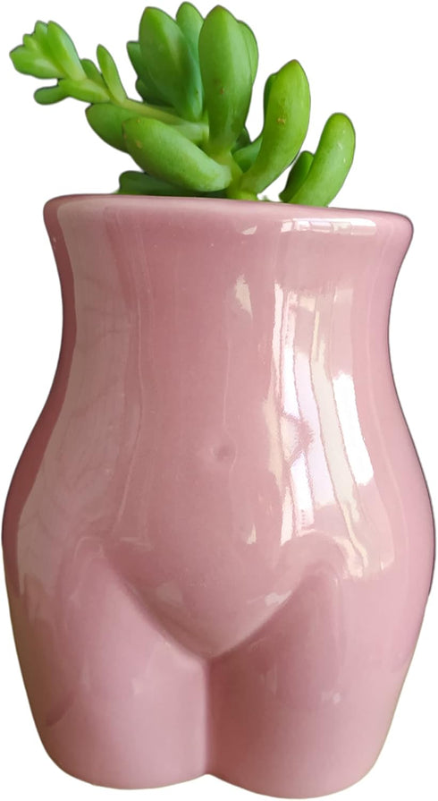 Cute 4.69 inch Body Shaped Ceramic Succulent Cactus Air Plant Body Art Modern Flower Pots Planter - Plant Not Included (Rose Pink)...