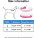 Rhinestone Dog Collar, Cute Dazzling Sparkling Leather Dog Cat Rhinestone Collar Crystal Diamond Pet Dog Puppy Collar (S:21-27cm, Gold)...