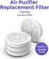 1-Year Pack Air Purifier Replacement Filter for AP001R, True HEPA Filter, 4 Pack...