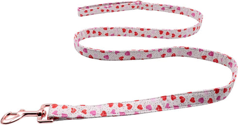 Lionet Paws Valentine's Day Dog Leash Matching Dog Collar for Small Medium Large Dog...