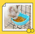 2 PcsRabbit Food Water Bowl, Guinea Pig Plastic Food Basin Dish, Chinchilla Hanging Portable Feeding Bowl (Pink and Blue)...
