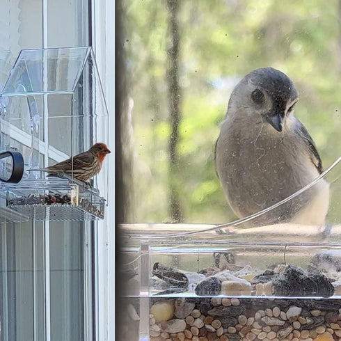 Bird Feeder Birds House for Outdoor, Window Bird Feeder with Strong Suction Cups for Wild Birds, Cardinal, Bluebird...