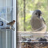 Bird Feeder Birds House for Outdoor, Window Bird Feeder with Strong Suction Cups for Wild Birds, Cardinal, Bluebird...