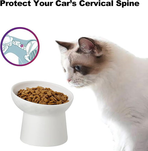 Small Ceramic Raised Cat Bowls, Tilted Elevated Food or Water Bowls, Stress Free, Backflow Prevention, Dishwasher and Microwave Safe, Lead & Cadmi...