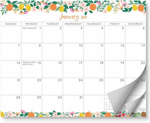S&O Fruity Magnetic Fridge Calendar from January 2024-June 2025 - Tear-Off Refrigerator Calendar to Track Events & Appointments - 18 Month Magneti...