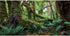 AWERT 30x18 inches Tropical Forest Terrarium Background Green Huge Tree Reptile Habitat Background Rainforest Aquarium Background Durable Polyeste...