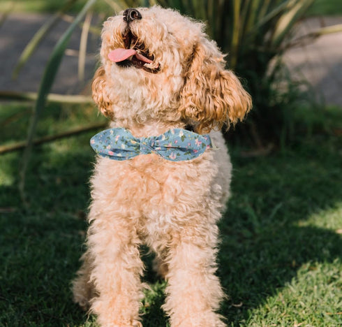Dog Collar with Bowtie,Cotton Floral Bowtie Dog Collars for Small Medium Puppy Female & Male Dogs,Wedding Holiday Pet Collars...