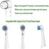 Electric Toothbrush Travel Case for Oral-B Toothbrushes & 6Pcs Reusable Toothbrush Head Covers Compatible with Oral B Electric Toothbrush Heads (W...